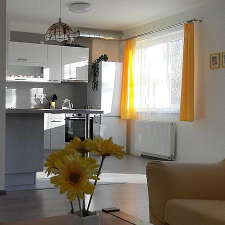 Rodinny Apartman Lucie V Blizkosti Wellness Hotelu Ve Frymburku Exteriör bild