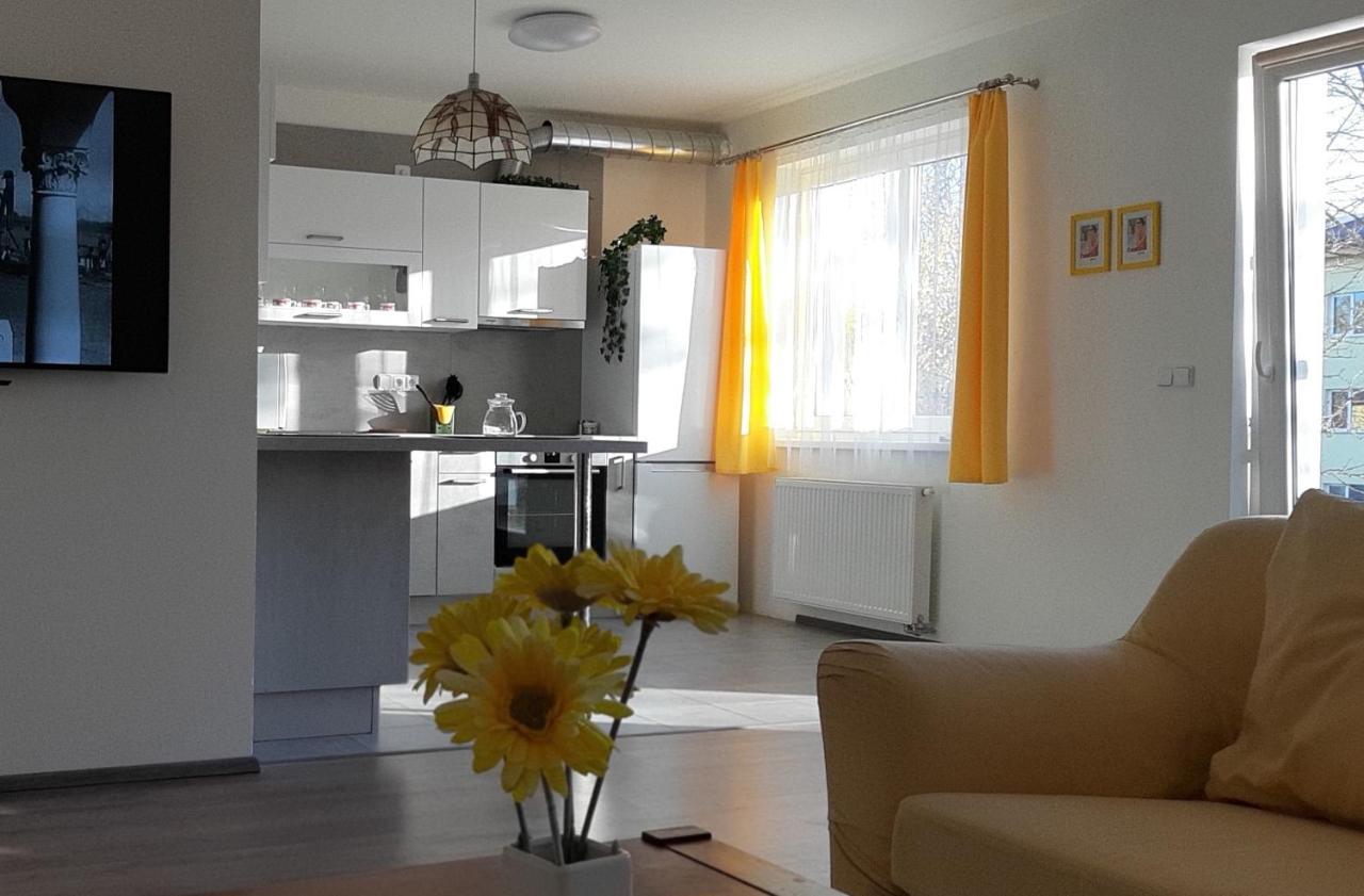 Rodinny Apartman Lucie V Blizkosti Wellness Hotelu Ve Frymburku Exteriör bild