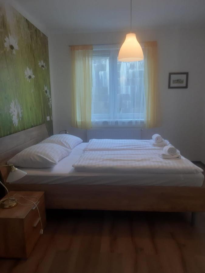 Rodinny Apartman Lucie V Blizkosti Wellness Hotelu Ve Frymburku Exteriör bild